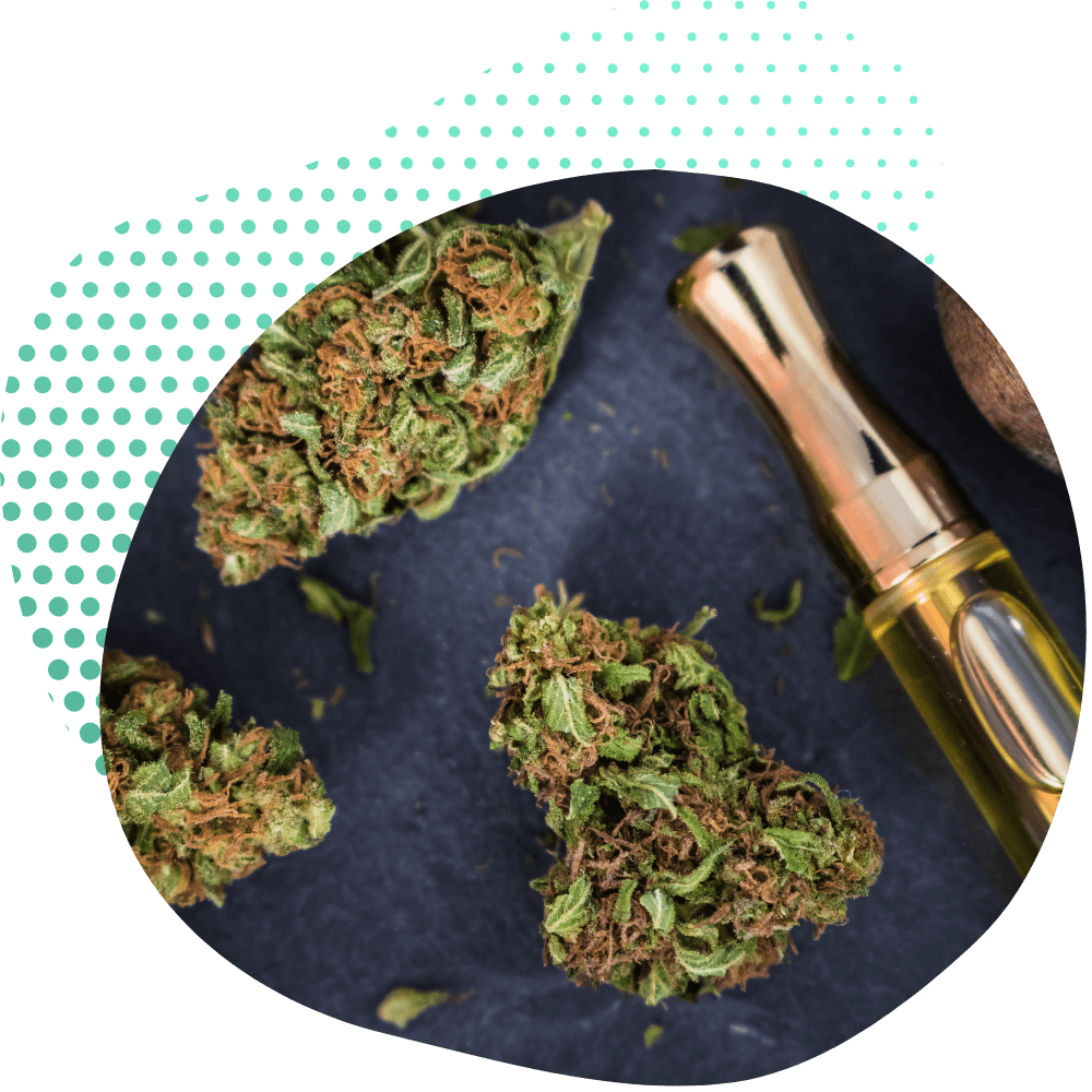 H4CBD çiçekler