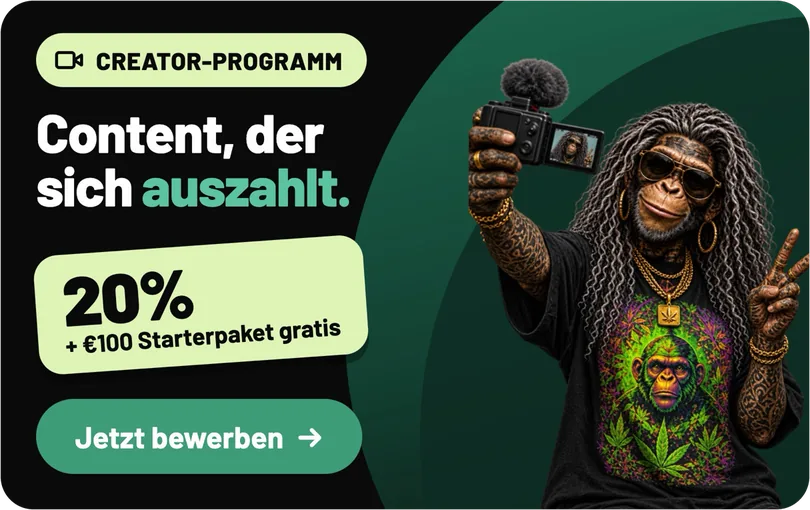 Creator-Programm: Content, der sich auszahlt. 20% + €100 Starterpaket gratis. Jetzt bewerben